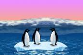 zıplayan penguenler