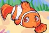 Fish Nemo Dress Up