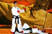 Karate Şampiyonası oyun