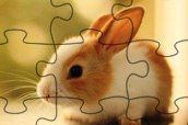 Tavşan puzzle oyunu