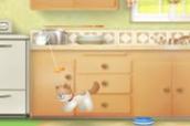 Animal Care game