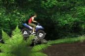 ATV driving in the forest
