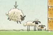 3 sheep