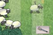 sheep capture